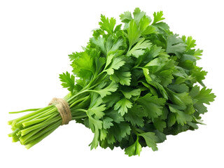 Coriander (Kothimera)