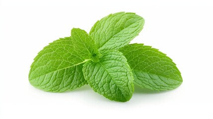 Mint Leaves (Podhina)