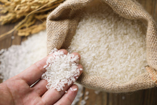 Rice