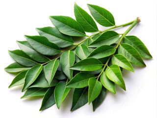 Curry Leaves (Packet)