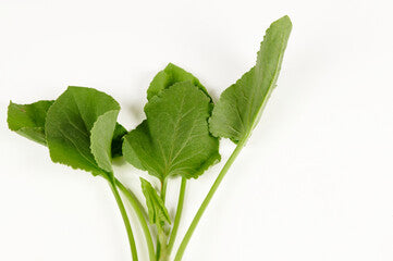 Indian Sorrel (Chukka Kura / Sorshe Saag)